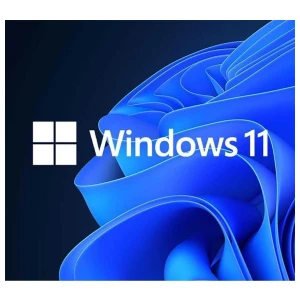 Microsoft Windows 11 Professional | 64-bit OEM | Nederlands / Meertalig