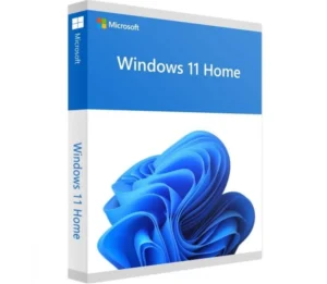 Microsoft Windows 11 Home | 1 Licentie | Engels (UK)